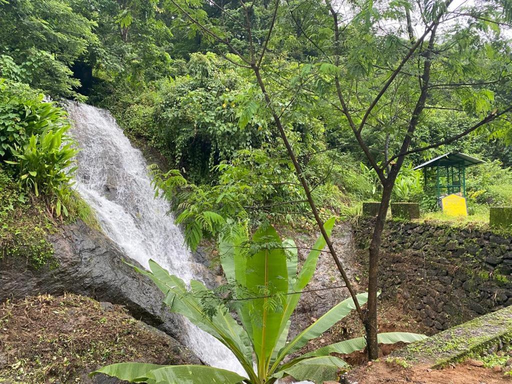 Earth Lounge Resort Vagamon Esterno foto